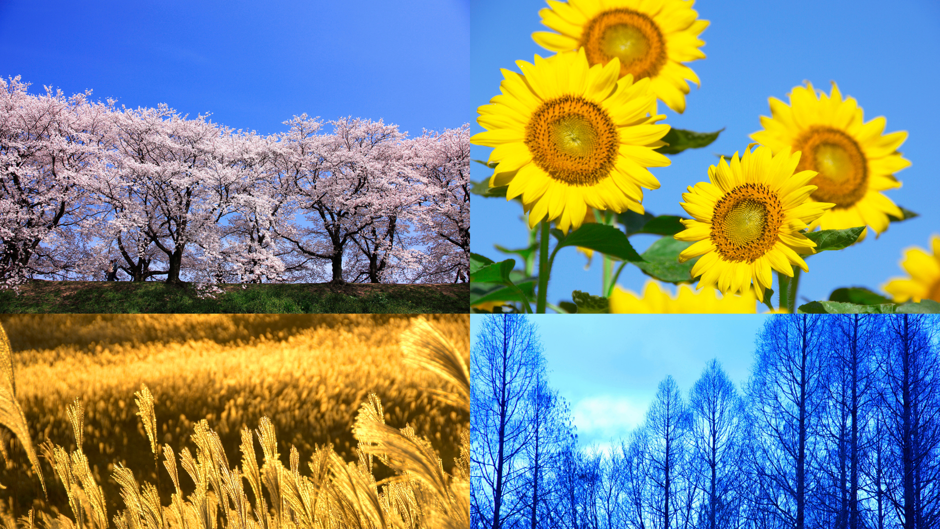 Facilitate Growth by Embracing Cyclical Business By: Karen Maggs Facilitate Growth by Embracing Cyclical Business By: Karen Maggs